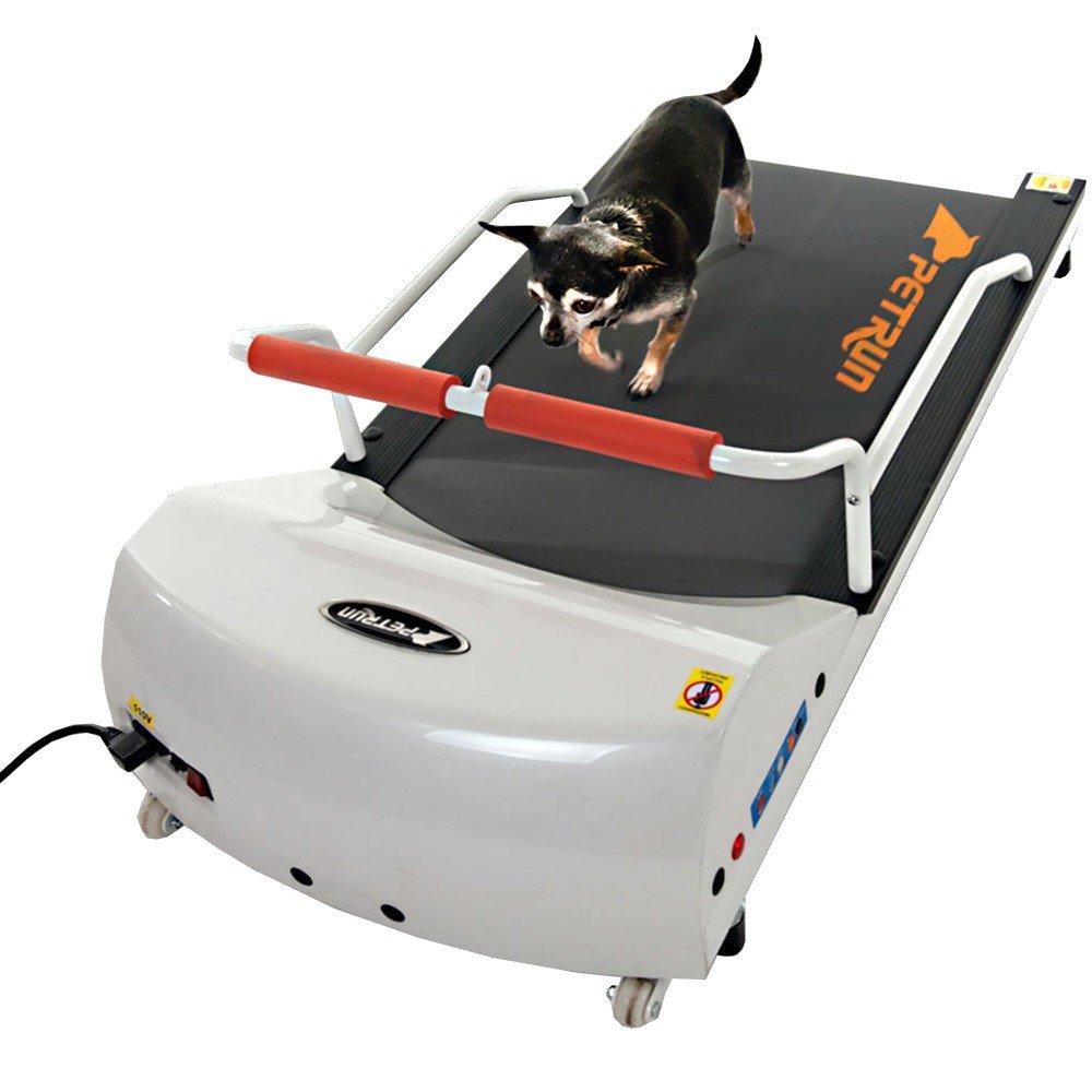 Go Pet Petrun Pr700 Dog Treadmill
