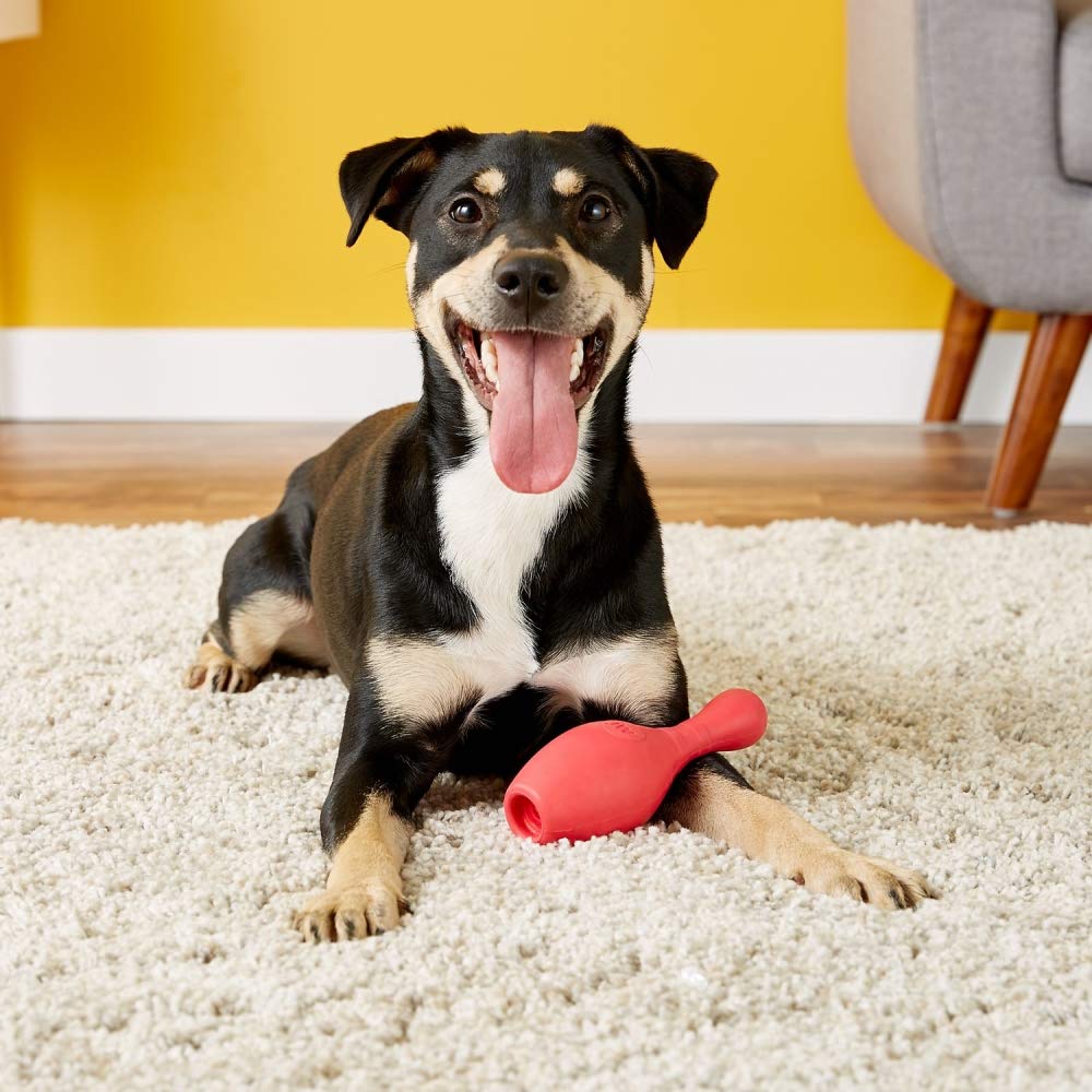 JW Pet iSqueak Bouncin' Bowlin Pin Dog Toy