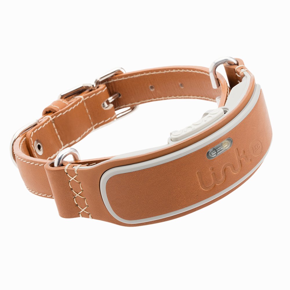Link AKC Smart Dog Collar with GPS Tracker & Activity Monitor 