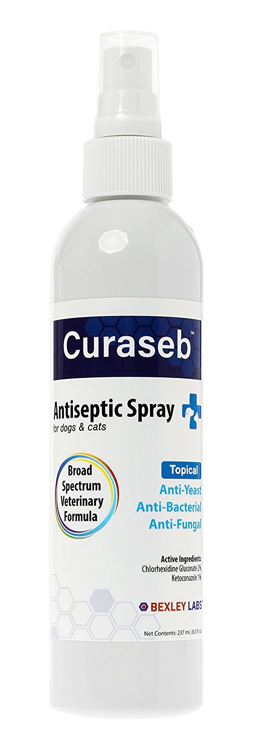 Curaseb Antifungal & Antibacterial Chlorhexidine Shampoo