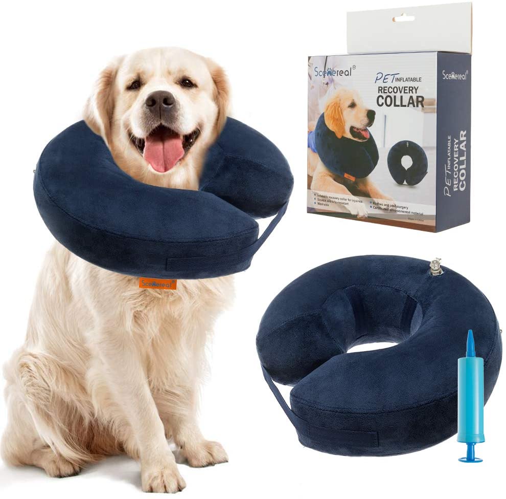 SCENEREAL Inflatable Recovery Collar for Dogs