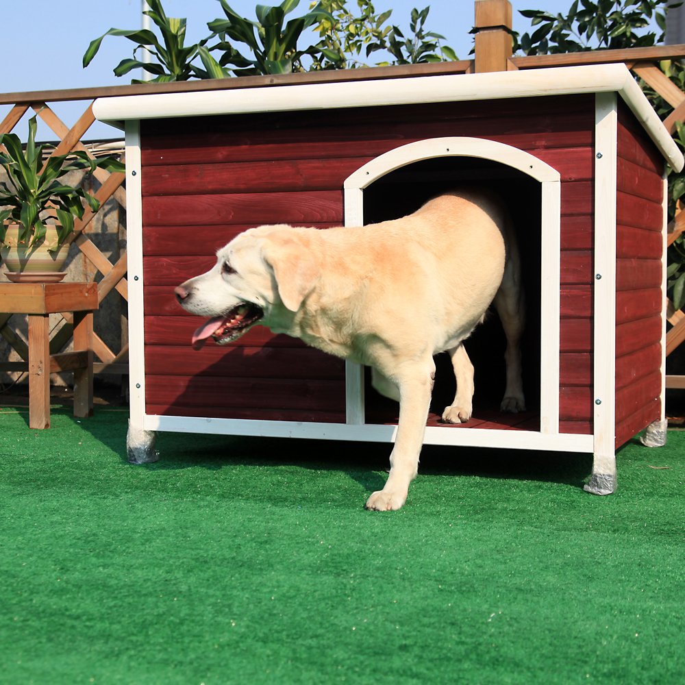 Petsfit Outdoor Dog House