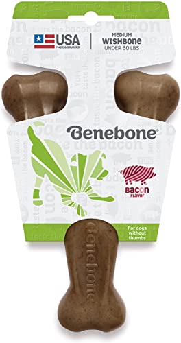 Benebone Real Bacon Durable Dog Chew Toy