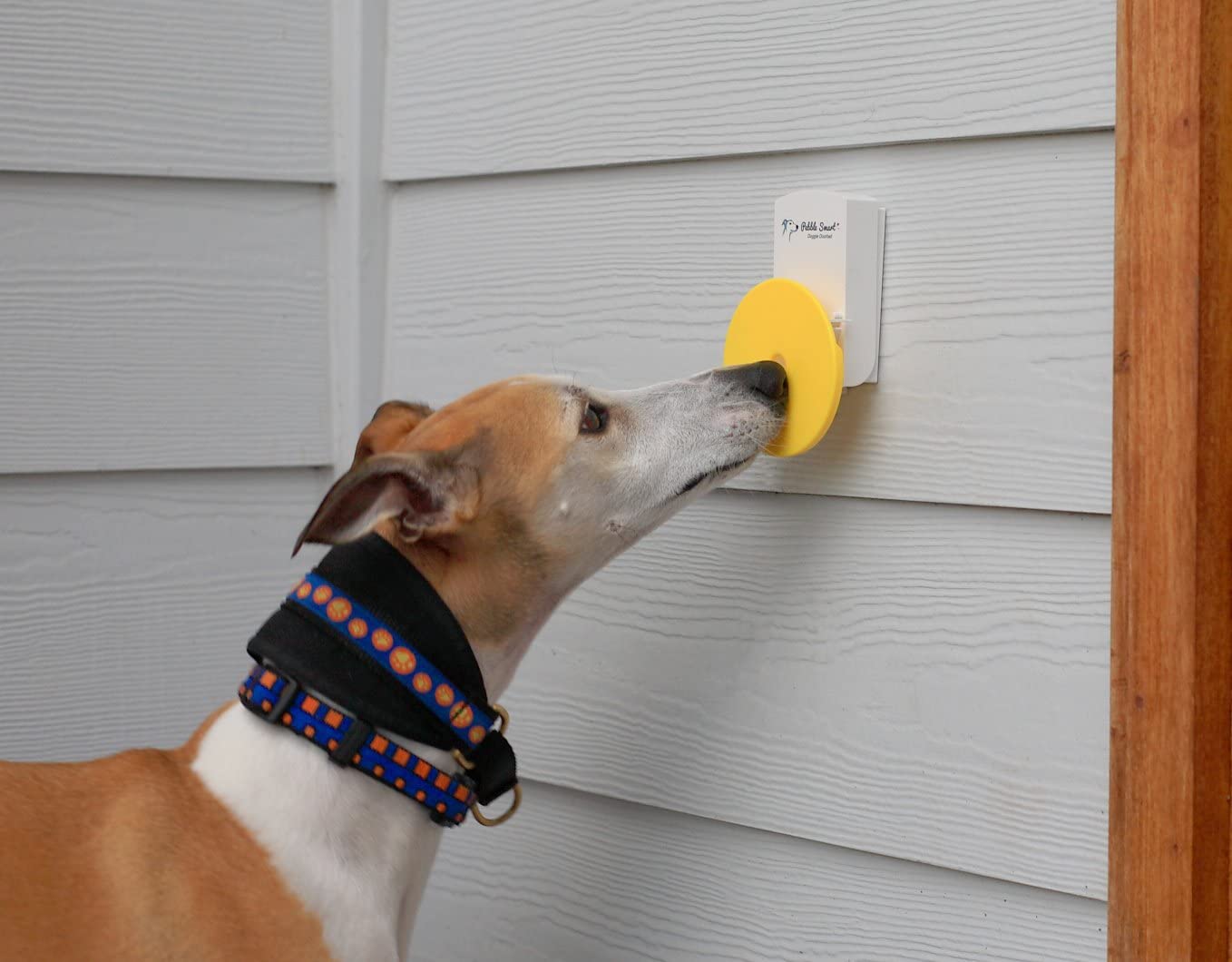 Pebble Smart Doggie Doorbell