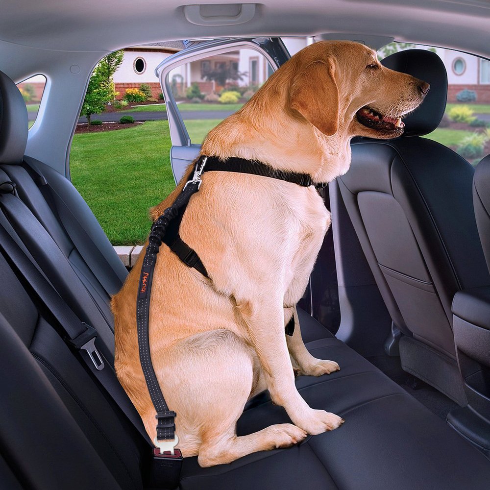 iBuddy Dog Seat Belt for Cars