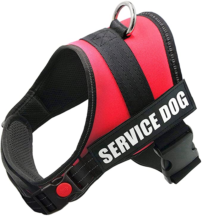 FAYOGOO Dog Vest Harness for Service Dogs
