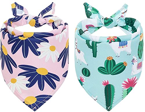 PUPTECK Dog Floral Bandanas with Cute Pattern - 2 Pack Cactus Daisy