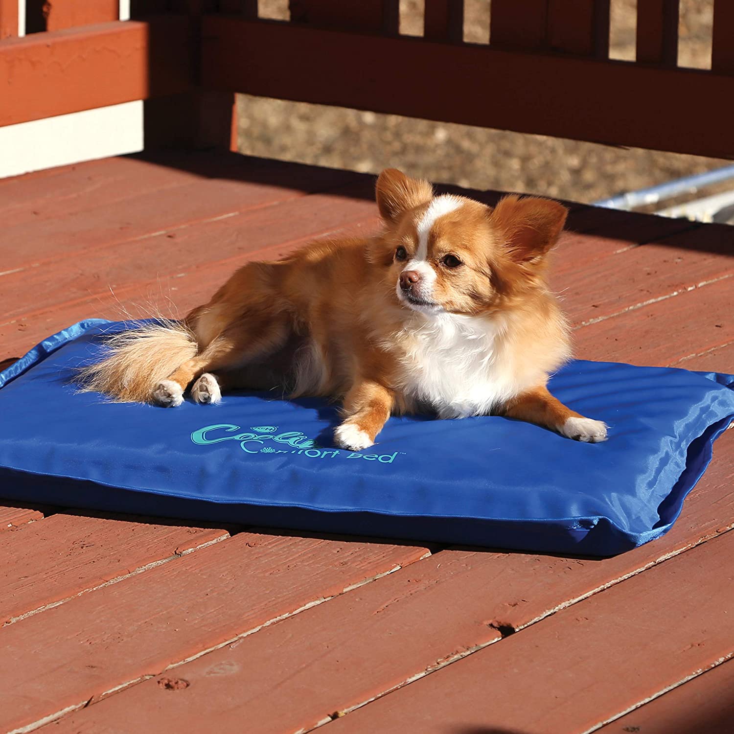 K&H PET PRODUCTS Coolin' - Orthopedic Pet Bed