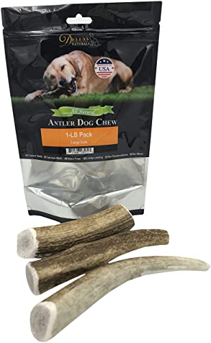 Deluxe Natural Elk Antlers for Dogs