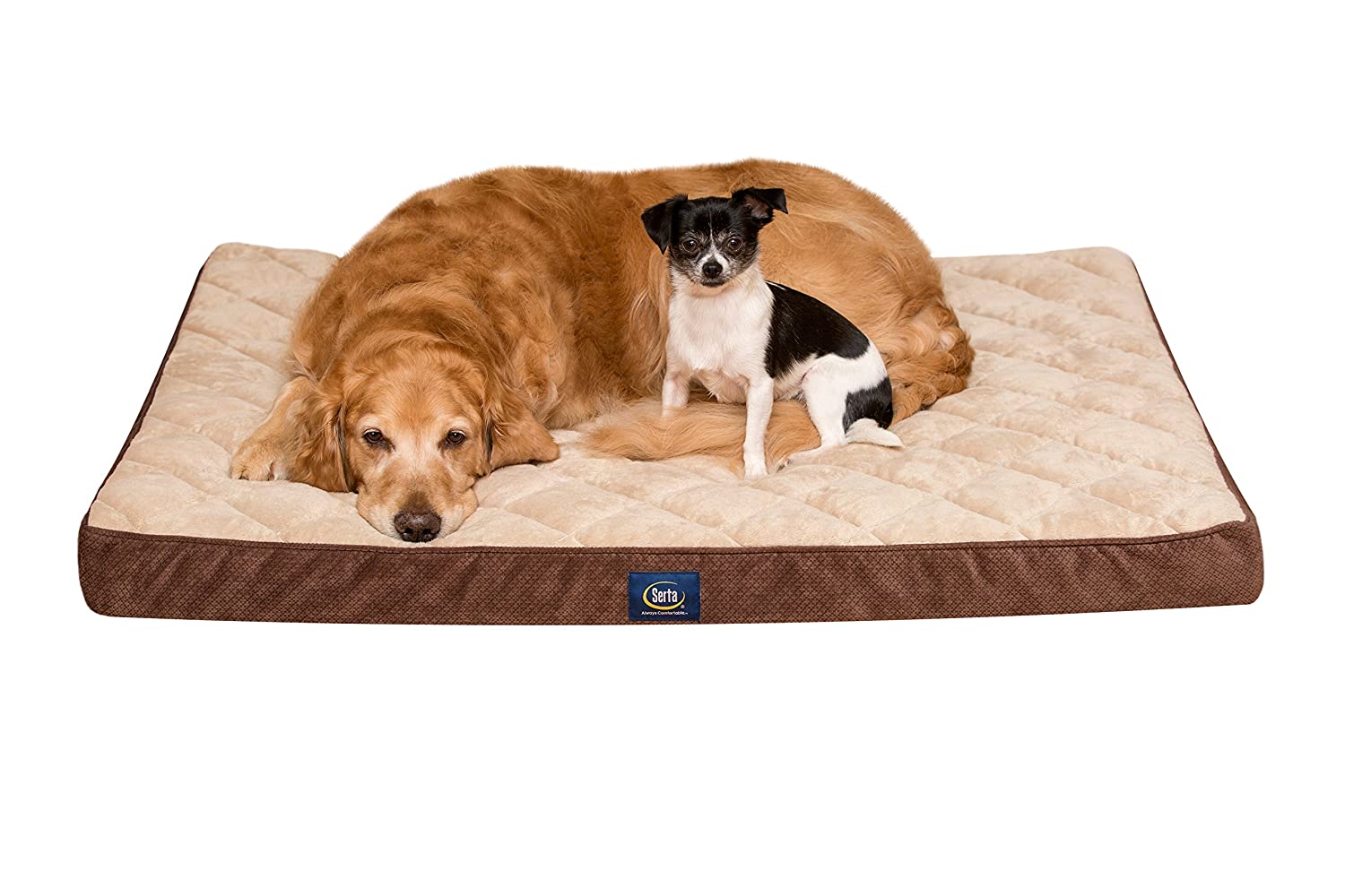 Serta Ortho Quilted Pillowtop Pet Bed