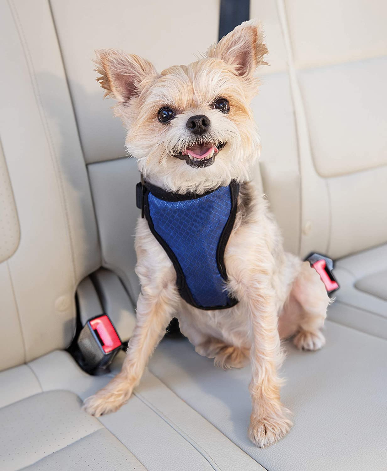 PetSafe Solvit Deluxe Car Safety Dog Harness