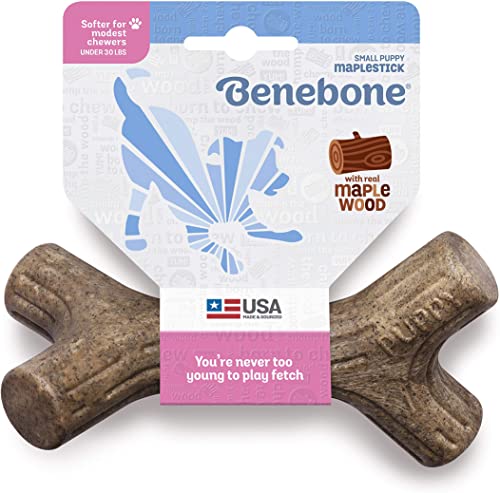 Benebone Puppy Dog Chew Toy, Softer for Modest Chewers