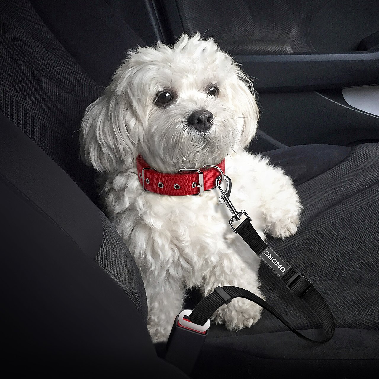 OMorc Dog Seat Belt