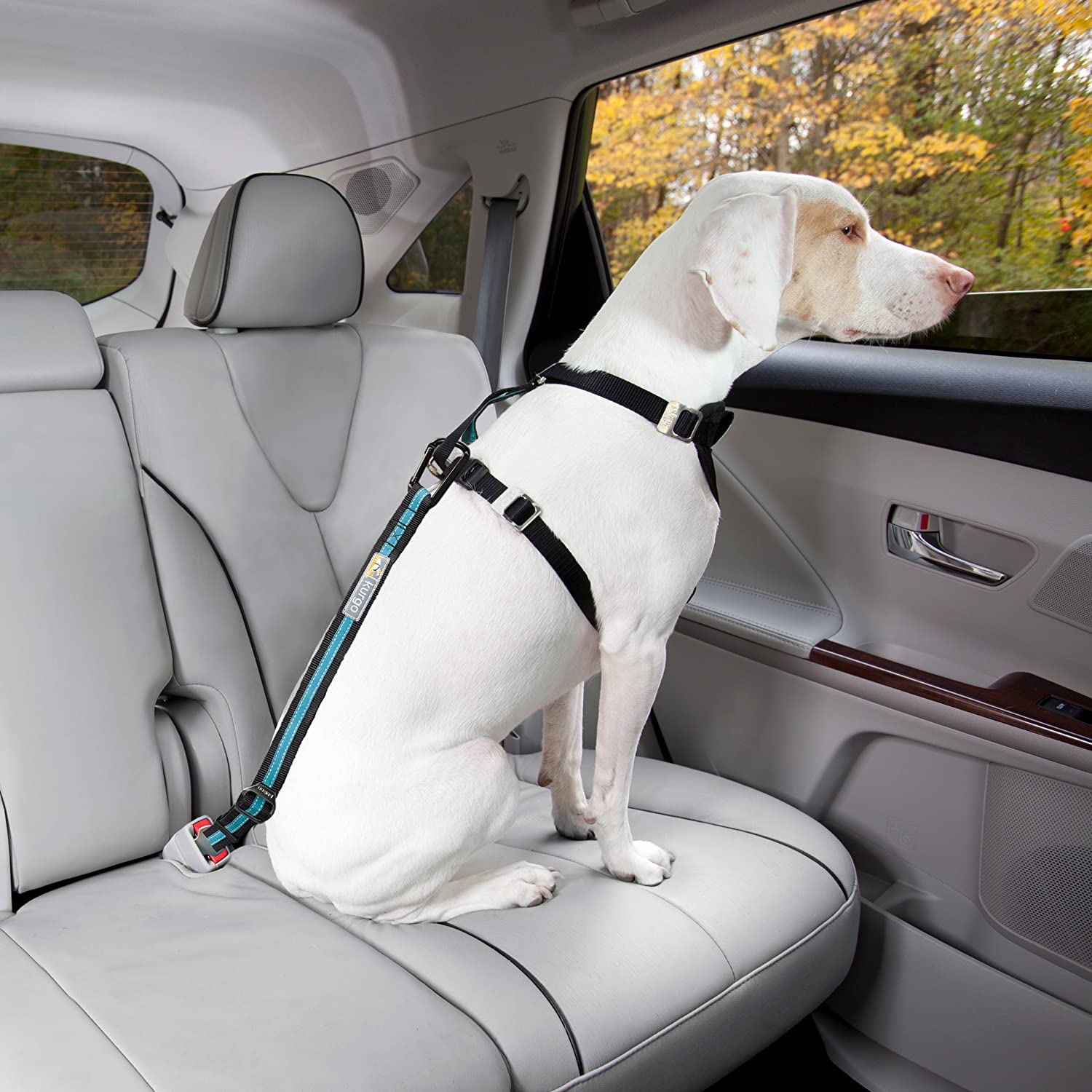Kurgo Seat Belt Tether for Dogs
