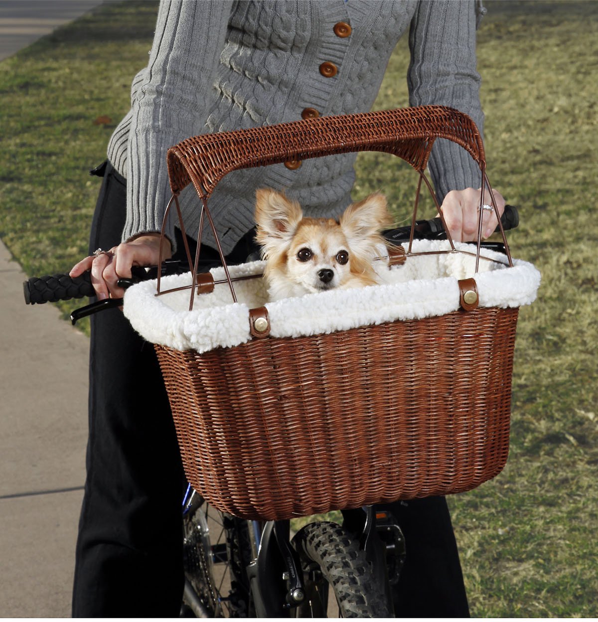 PetSafe Happy Ride Wicker Pet Bicycle Basket