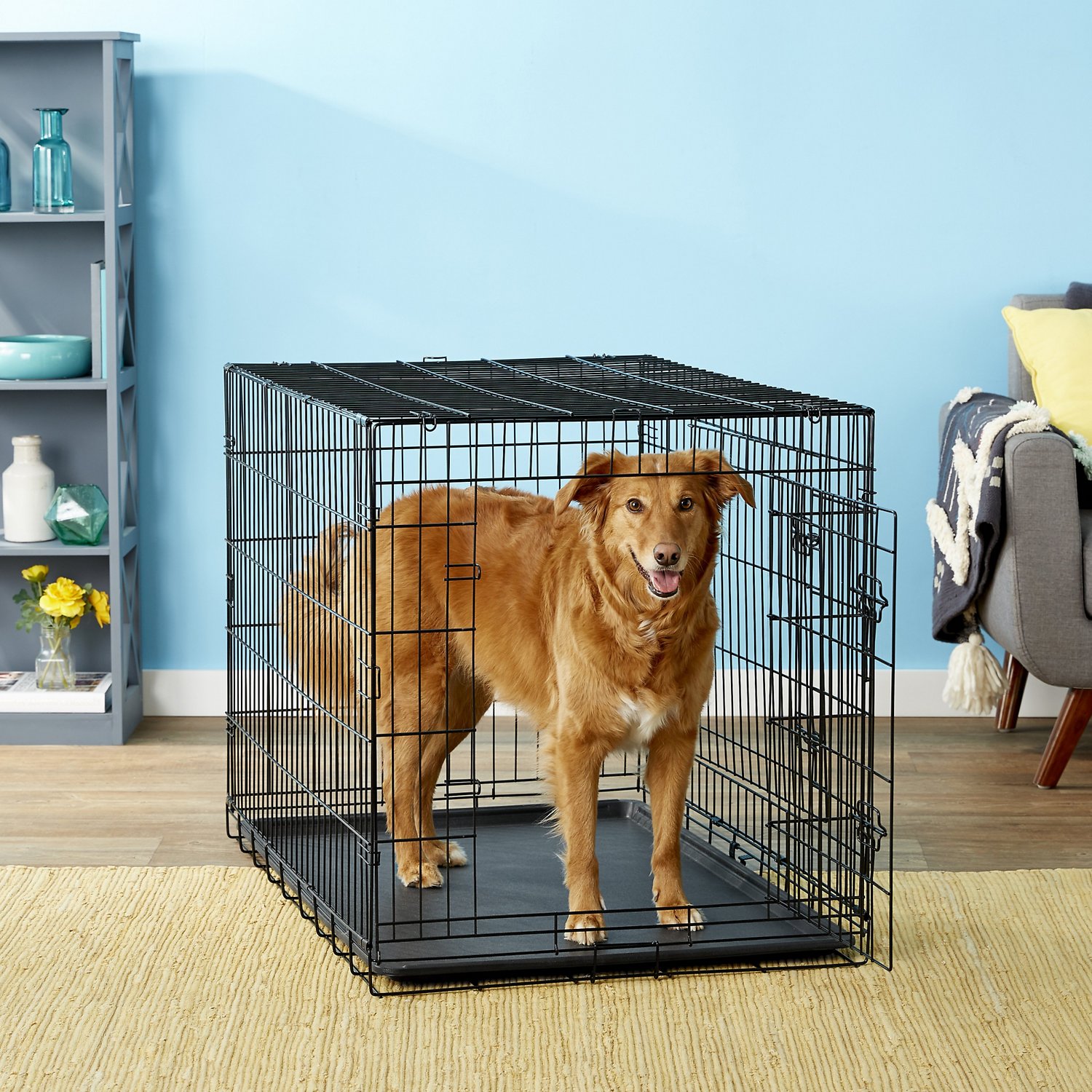 Paws & Pals Oxgord Double Door Collapsible Wire Dog Crate