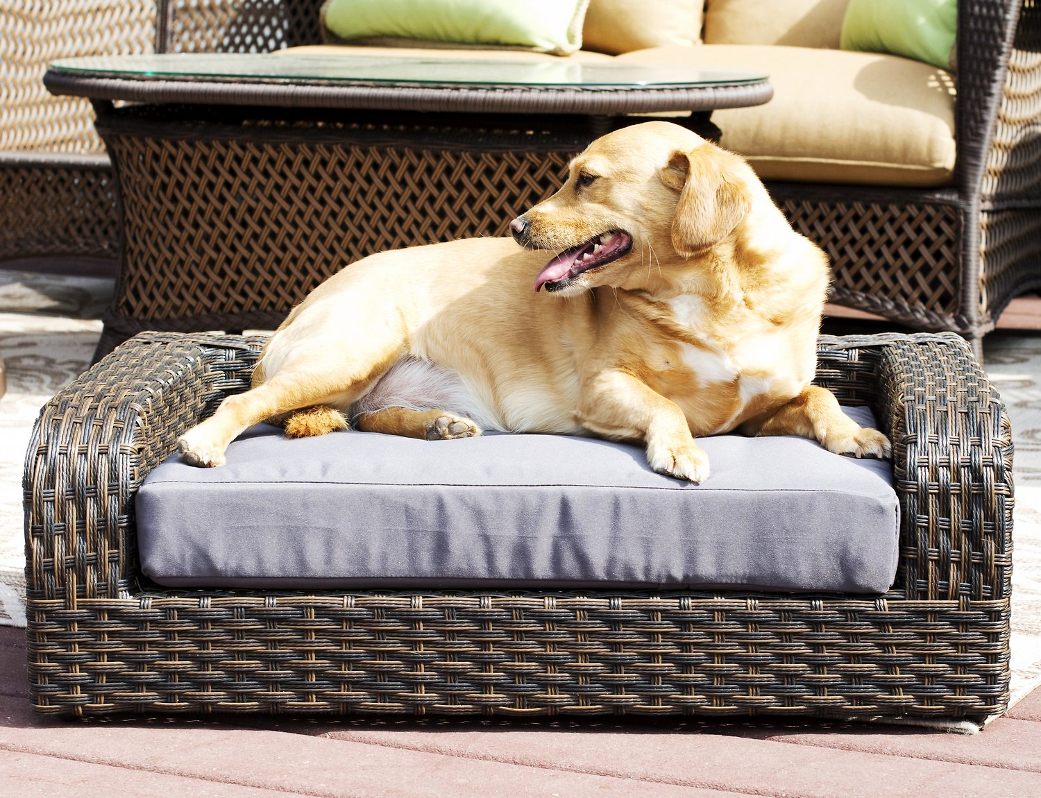 Iconic Pet Rattan Sofa Dog Bed