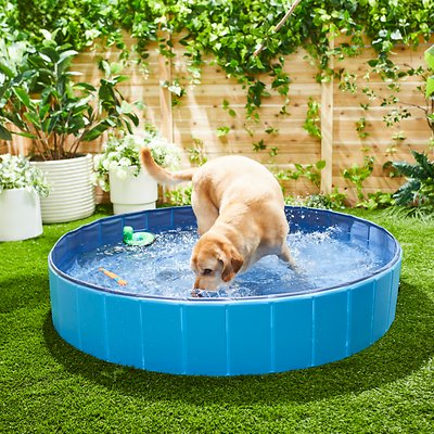 Frisco Outdoor Dog Swimming Pool