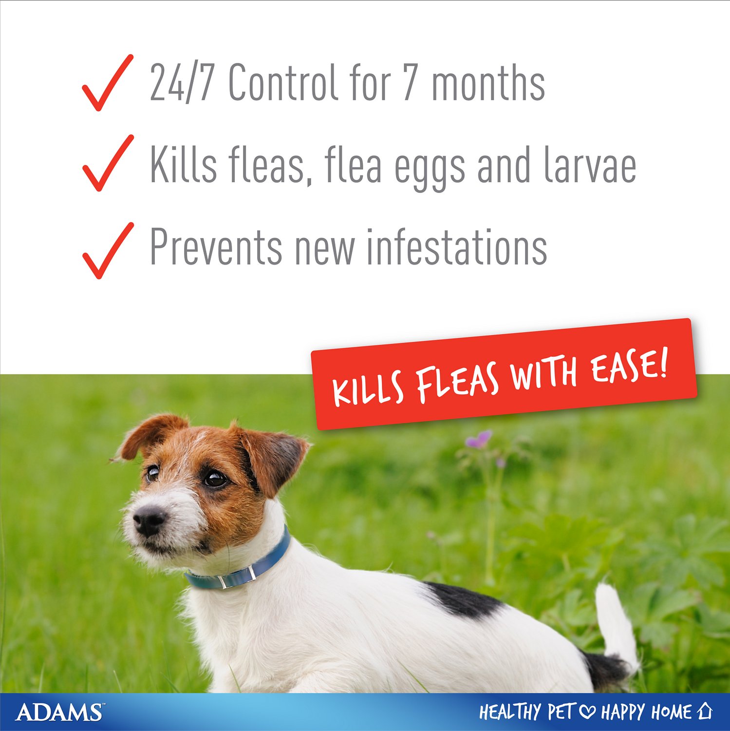 Adams Flea & Tick Dog Control Collar