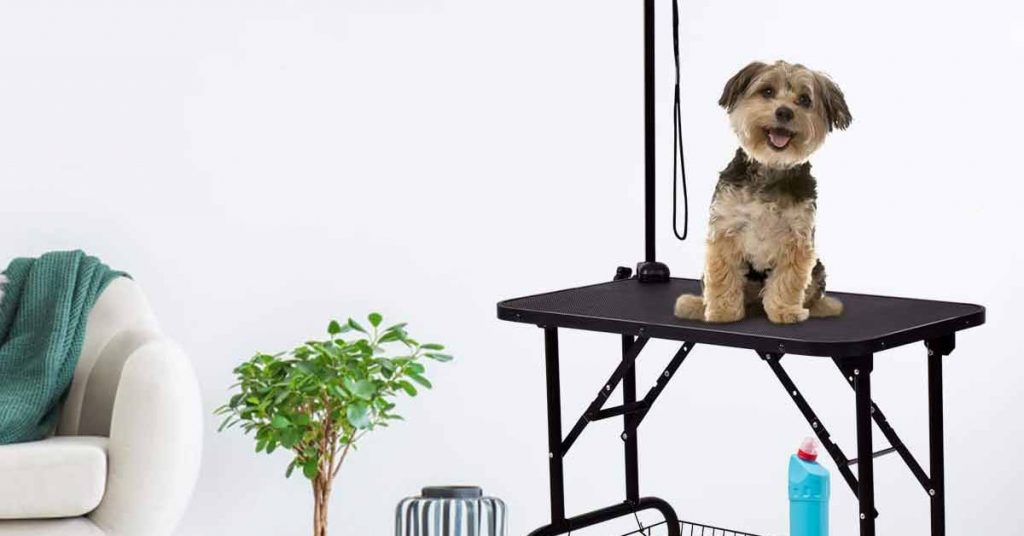 Best Dog Grooming Tables