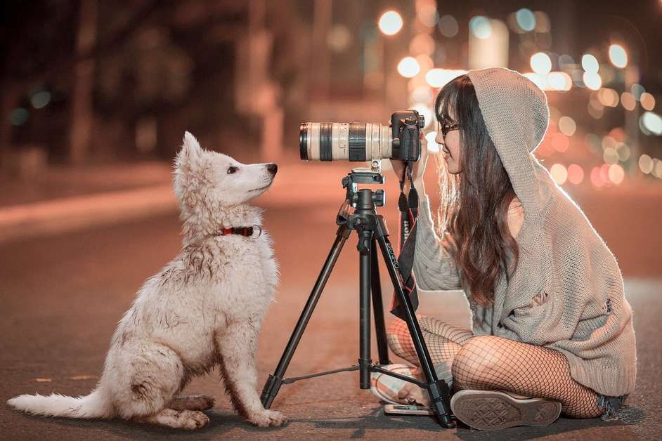 Best Dog Cameras